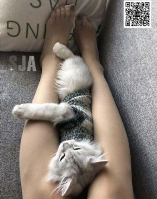 我男人的女人_国产剧高清在线观看